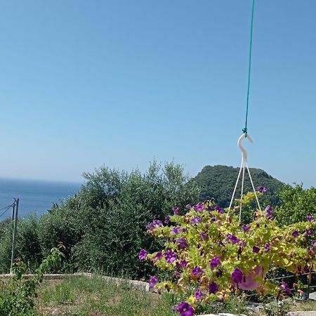 Litheri-Studios&Apartment Paleokastritsa Dış mekan fotoğraf