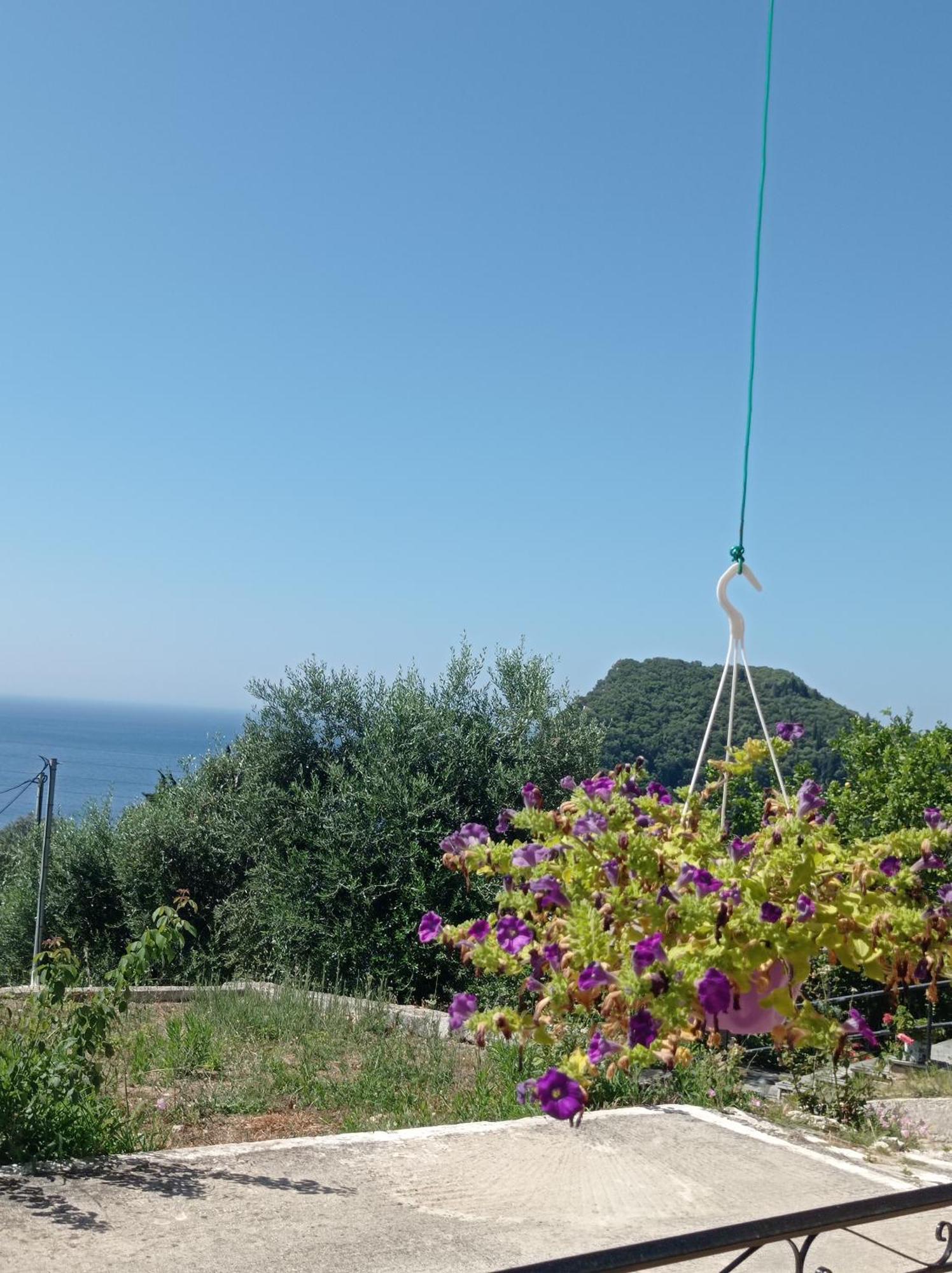 Litheri-Studios&Apartment Paleokastritsa Dış mekan fotoğraf